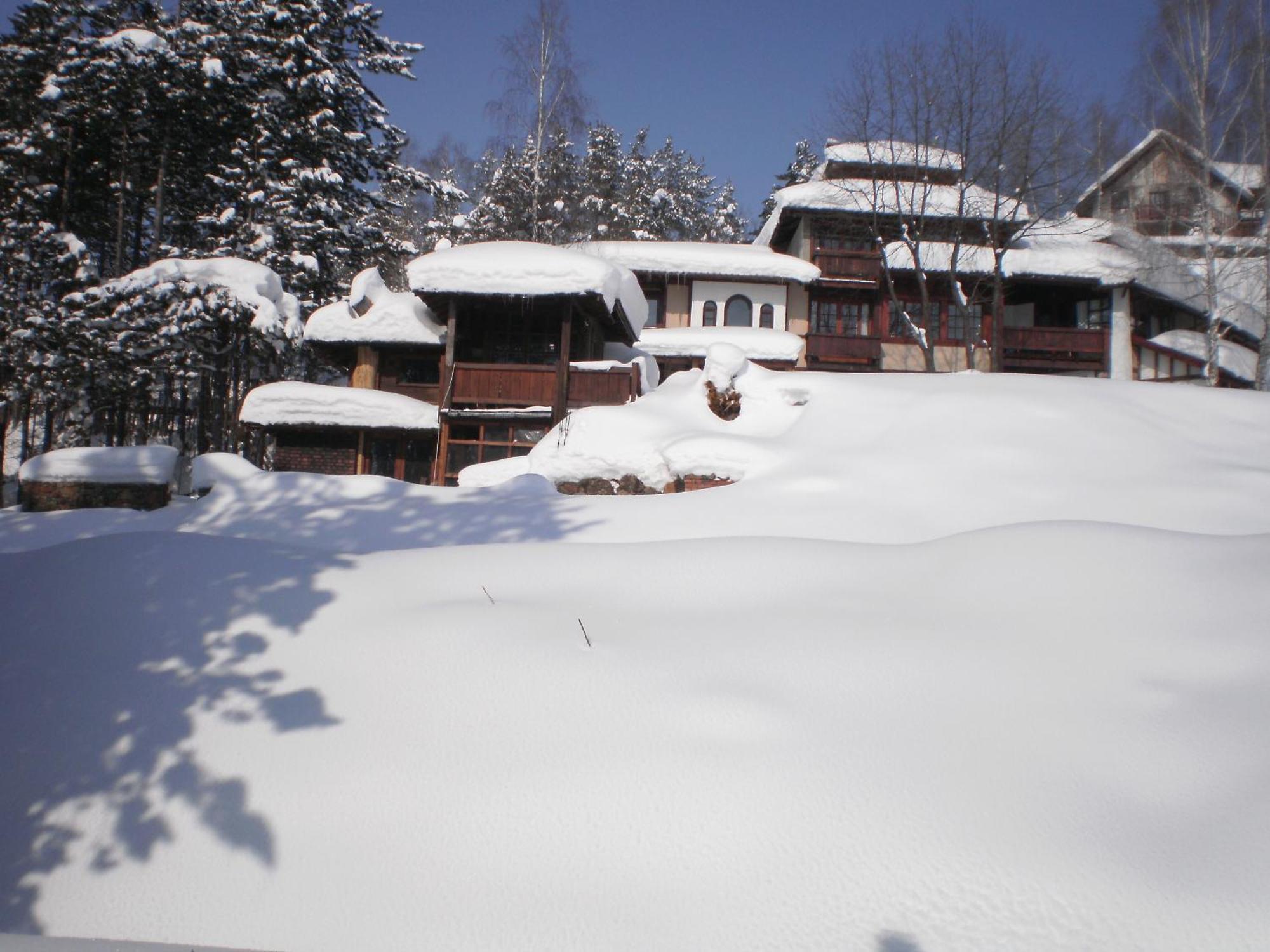 Apartment Carevo Polje Zlatibor