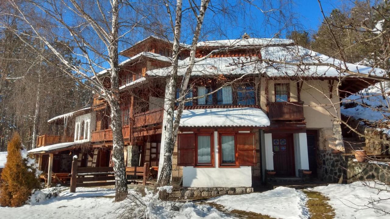Carevo Polje Apartment *